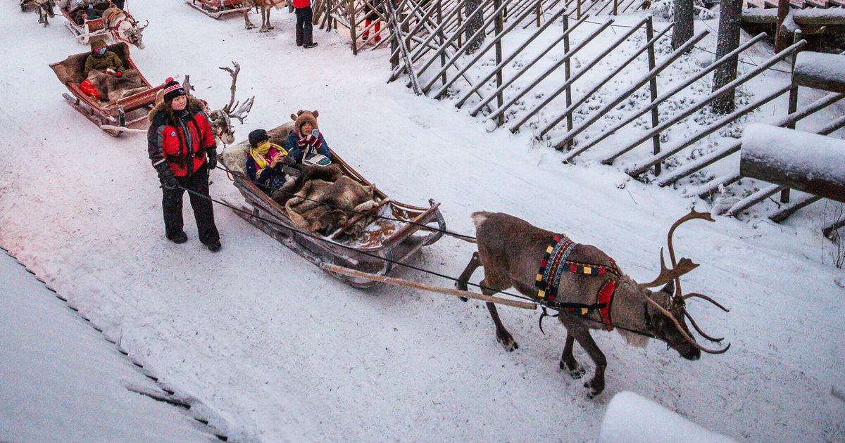 Santa Claus Reindeer: 5 palvelua yhden laskun alle